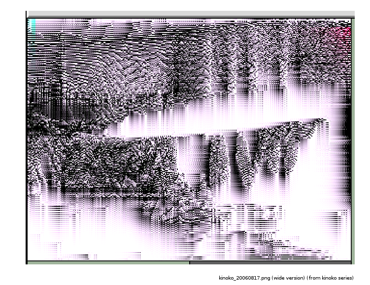 kinoko_20060817_wide.png